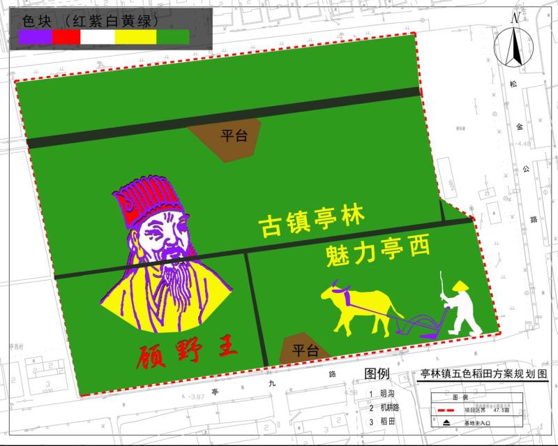 北斗卫星神定点，五彩水稻绘传奇