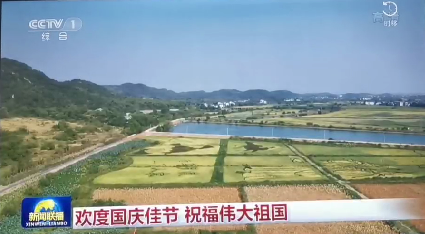 上央视-顺盈娱乐五彩稻田画，助力乡村振兴